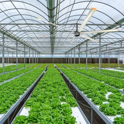 1500W 220v Ventilador HVLS de techo industrial para espacios grandes 6,1 m 7,3 m 12 pies 10 pies de diámetro