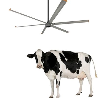 Ventilador de techo para el sitio de construcción Ventilación 3.6m Volumen alto 1500W 220V Ventilador HVLS de 10 pies