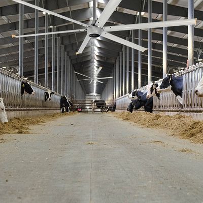 AMCLING Magnético comercial permanente sin escobillas motor de CA de 24 pies HVls ventilador con longitud larga 3-8M