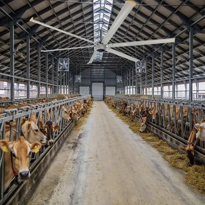 Ventiladores industriales de techo de 24 pies de ahorro de energía con motor trifásico y gran volumen de aire